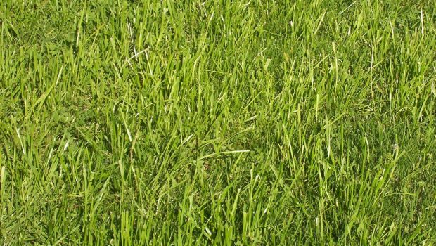 この人の 3D 描画は驚くべきものです