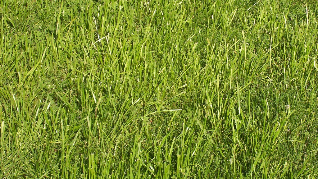 大気汚染:原因、結果、解決策 - 大気汚染への対策と解決策