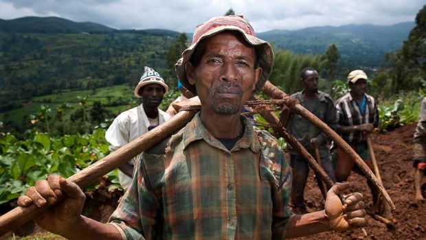 気候変動の影響