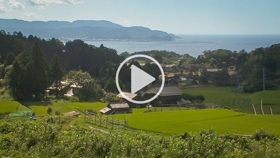 エコシステムの構成要素とは何ですか - エコシステムの構成要素とは何ですか