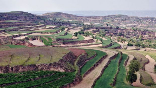 雨 赤道に近い地域では降水量が多くなります。