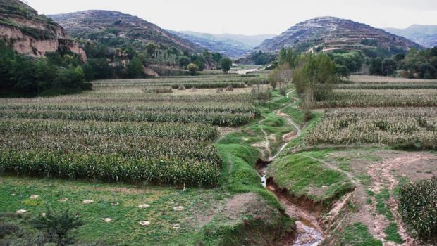 アルコールが妊娠に与える影響についてすべて知っていますか?