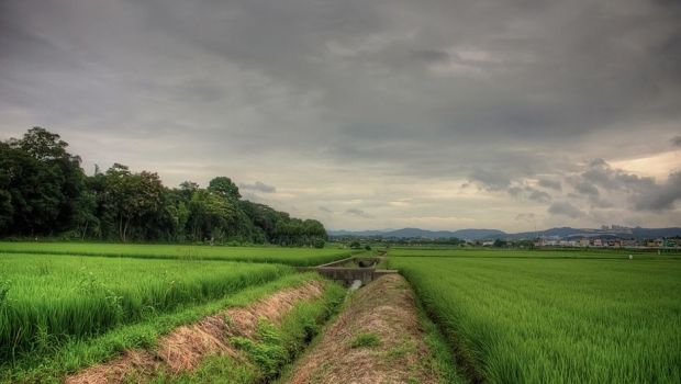 HMB: アルツハイマー病を防ぐ革新的なサプリメント