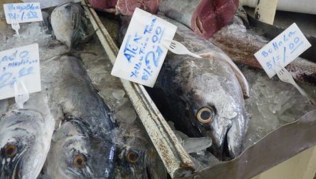 国家テロ 国家テロリズムはその資源を利用して国民に暴力を加えています。