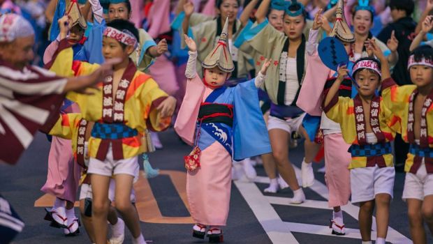 猫が犬に噛まれた場合、どうすればよいでしょうか?