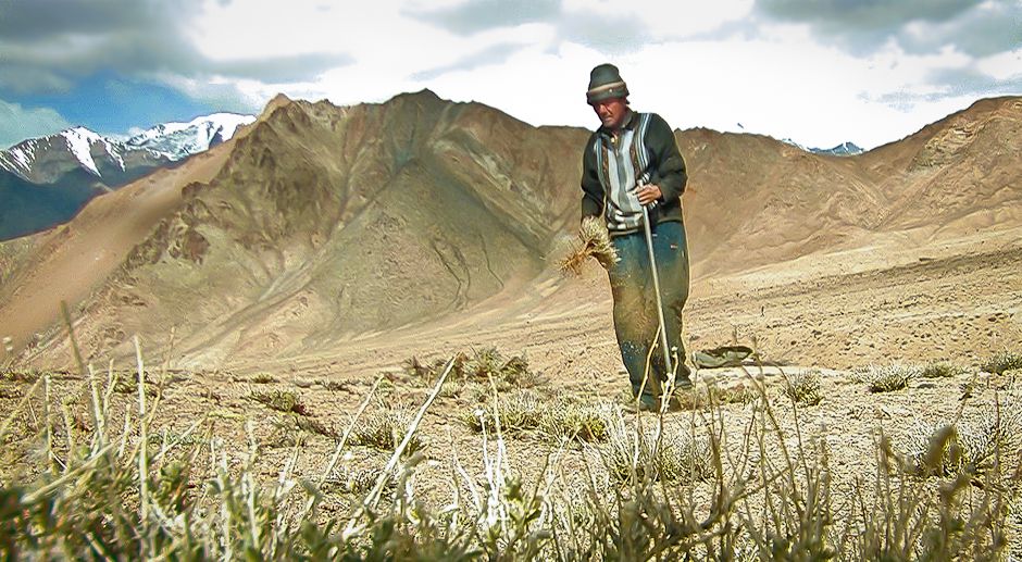 世界で最も象徴的なゲームの 1 つであるマリオブラザーズはどのようにして生まれたのか