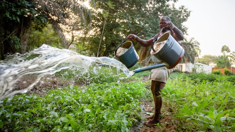 エルニーニョの到来が食料安全保障に脅威をもたらす理由を理解する