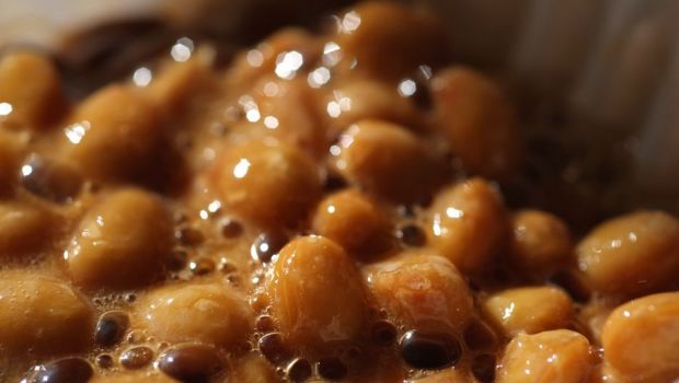 新興企業は結核治療で患者に近づくことに賭ける