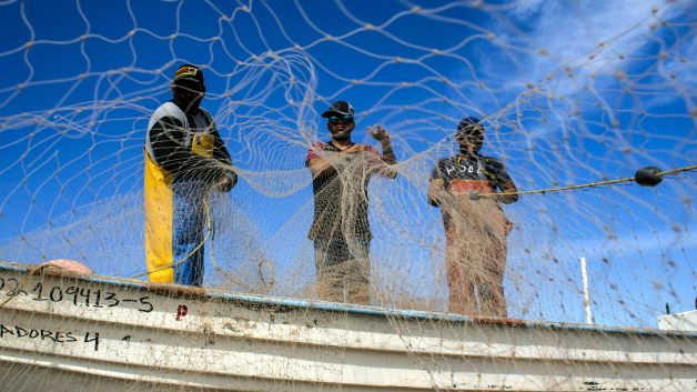 INSIGHTS-August-2022-Promo