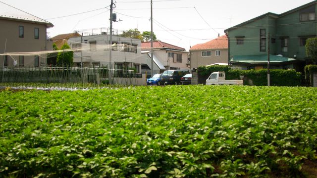 Japan’s urban agriculture